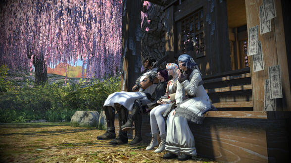 zana, unova, cocoa, aki